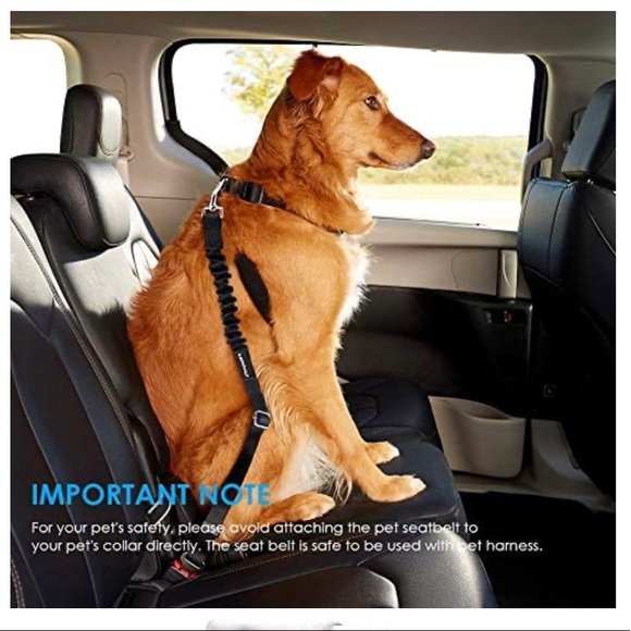 Urpower dog seat belt Clearance